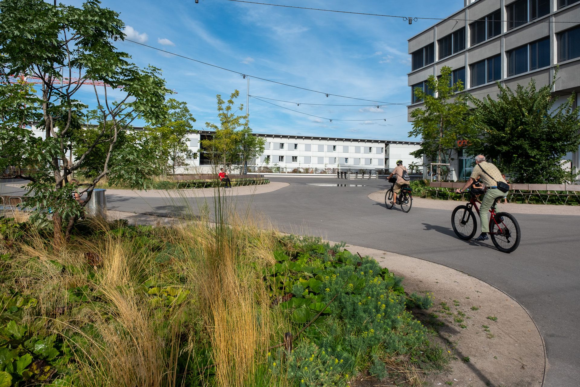 sickerfähige Baumscheiben in Basel Baumscheiben mit sickerfähigem Belag als Einfassung und Entwässerung der Verkehrswege zu den Bäumen hin