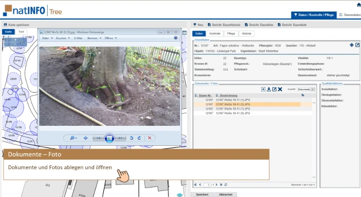 Screenshot Baumkataster Zustandserfassung Screenshot Baumkataster Zustandserfassung