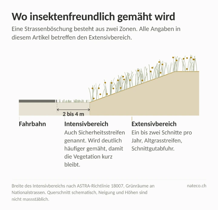 Grafik der zwei Zonen von Strassenböschungen: Intensivbereich und Extensivbereich Grafik der zwei Zonen von Strassenböschungen: Intensivbereich und Extensivbereich