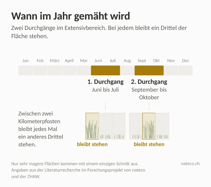 Grafik von Mähzeitpunkten für den Extensivbereich von Strassenböschungen Grafik von Mähzeitpunkten für den Extensivbereich von Strassenböschungen