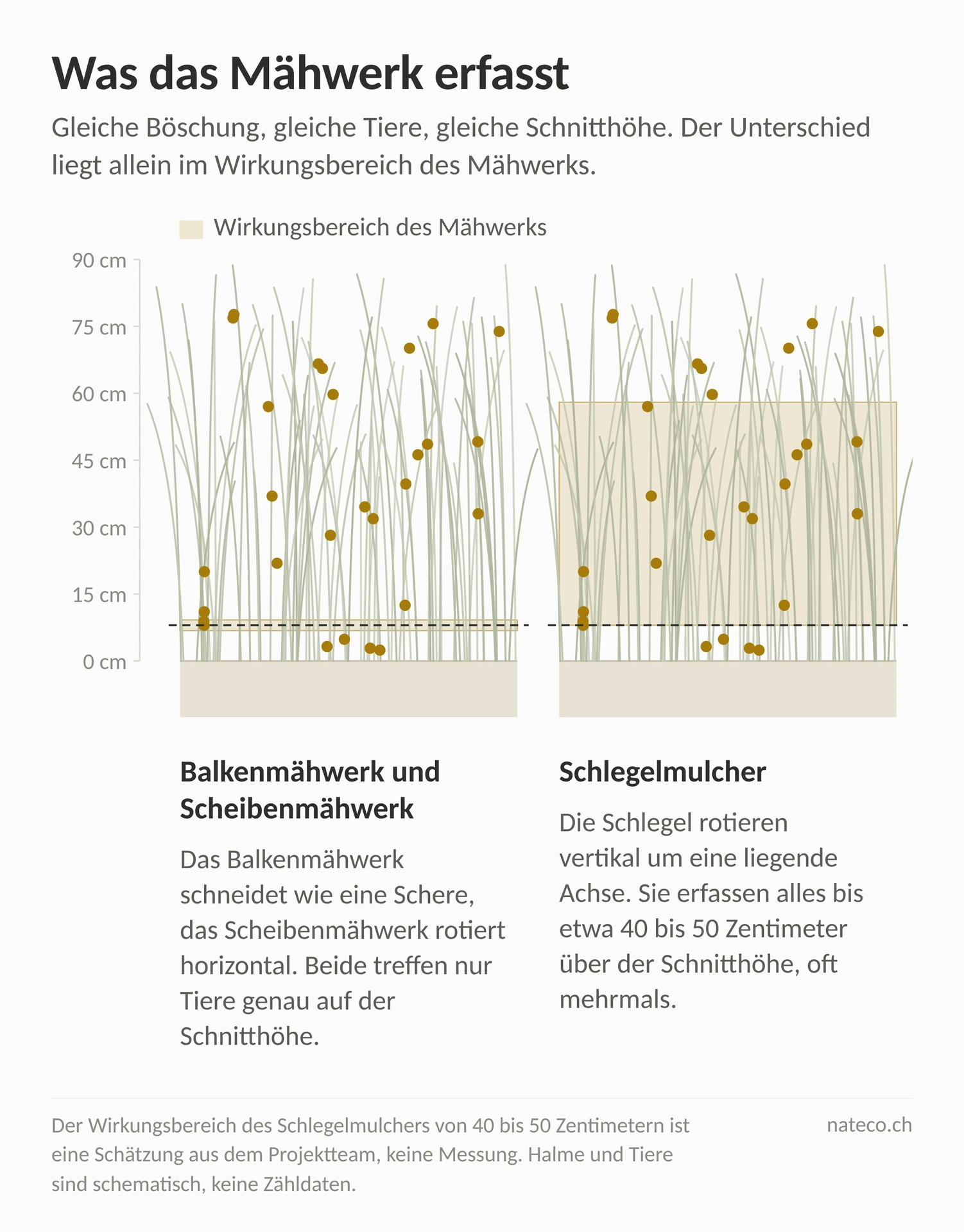 Grafik der unterschiedlichen Wirkung von Schlegelmulcher, Balkenmäher und Scheibenmähwerk Grafik der unterschiedlichen Wirkung von Schlegelmulcher, Balkenmäher und Scheibenmähwerk