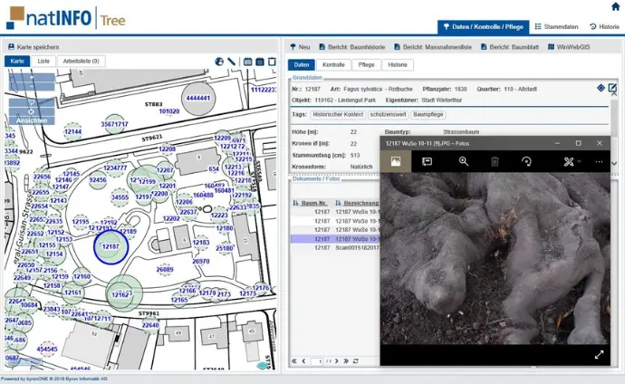 Screen-Shot der Baumkataster-Software mit GIS-Integration : natINFO | Tree