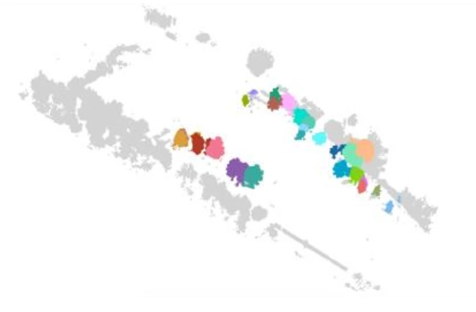 Der Baumbestand nach Erfassung mit LiDar