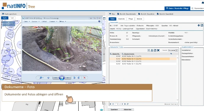 Ausschnitt aus natInfo | Tree