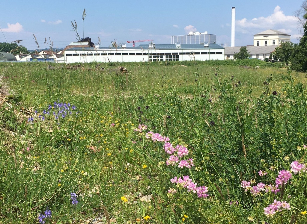 Naturinventar Kulturlandschaft Rheinfelden