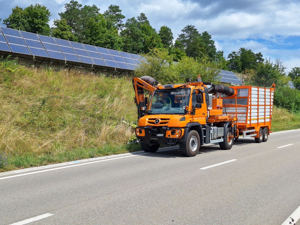 Richtlinien: Grünflächen an Strassen ökologisch Pflegen