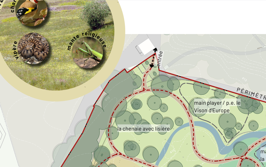 Fachplanung Biodiversität für den Tierpark Genf