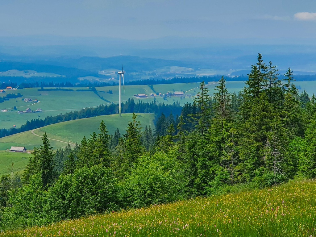 Windpark Alpiliegg: Umweltverträglichkeit & Artenschutz