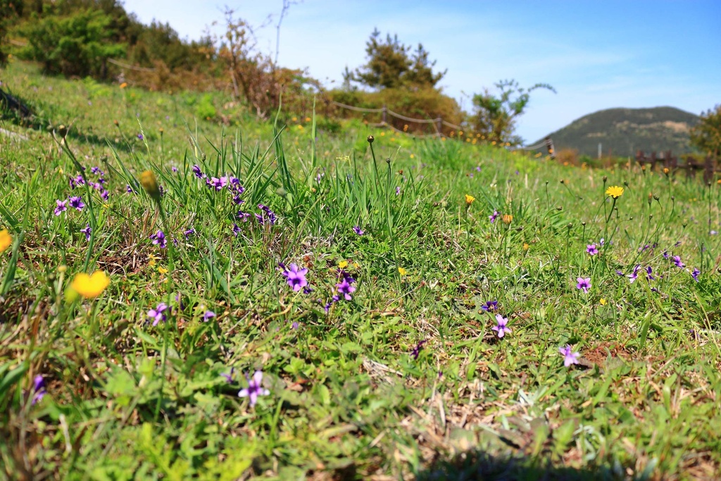 Naturinventar